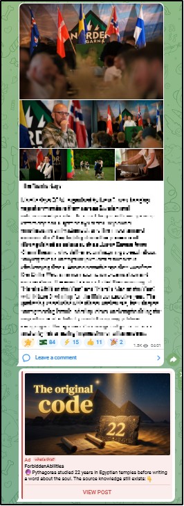 Advertisement on a Telegram channel affiliated with the Nordic Resistance Movement, which is a U.S. listed Specially Designated Global Terrorist entity. Screenshot taken on July 30.