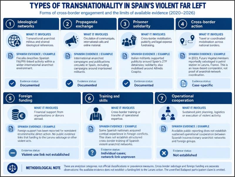 Figure 6: Types of Transnationality Applied to Spain's Violent Far Left (2020–2026).