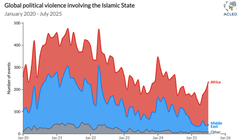 global political violence involved the Islamic State