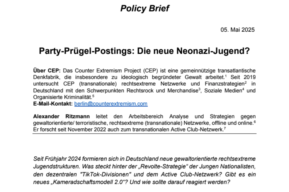 policy brief screenshot