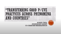 Transferring Good P/CVE Practices Across Phenomena and Countries