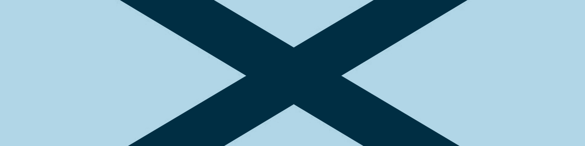 League of the South